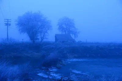 DSC_1071 (Large).JPG